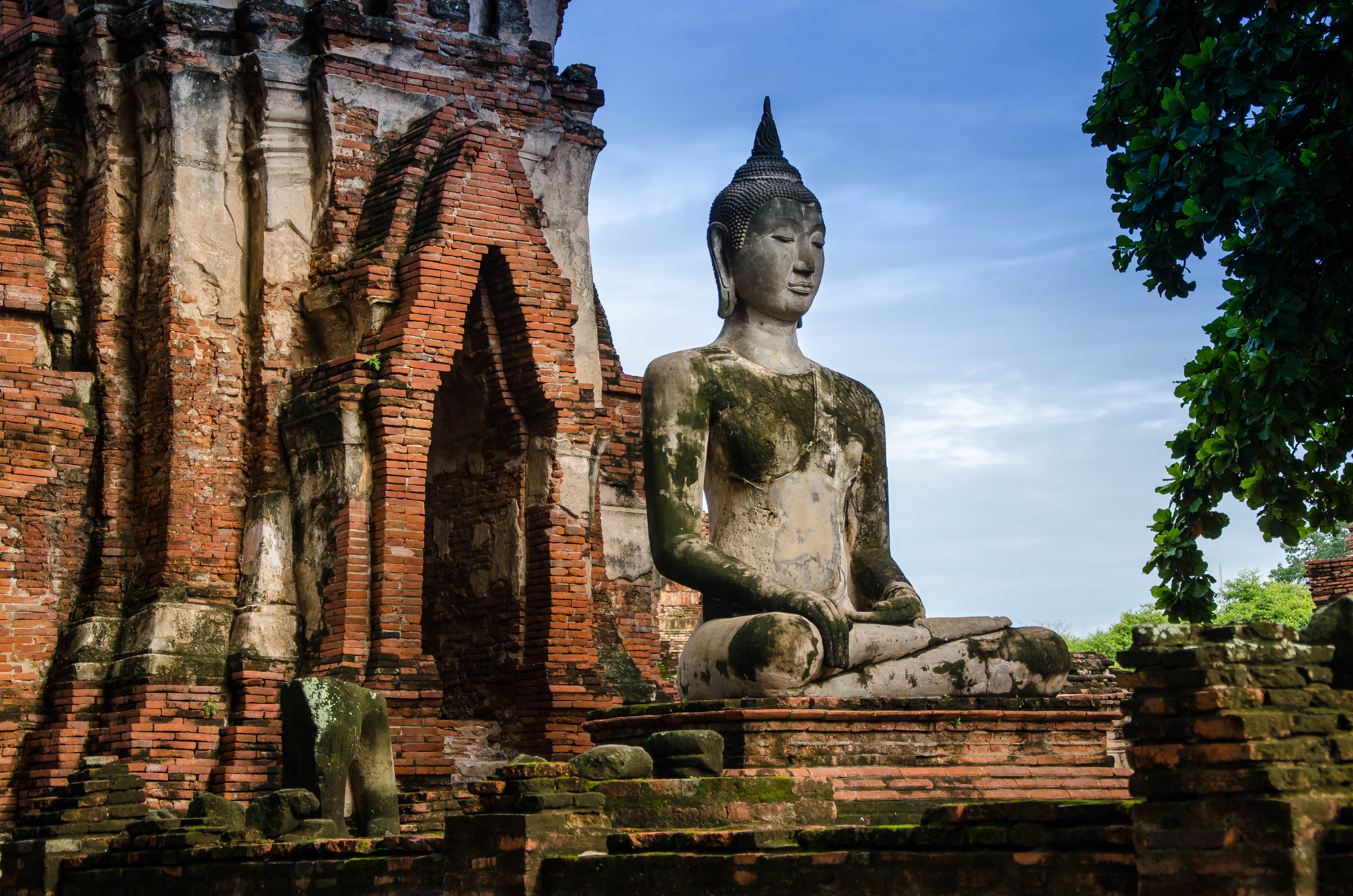 Budha statue meditating